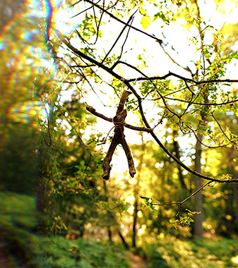 witch, witchcraft, vvitch, horror, folk horror, devil, folklore, witch hunt, spell, hex, spirit, demon, curse, folk, fable, England, indie, film